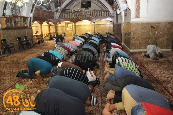 iftar mahmoduai (15).JPG